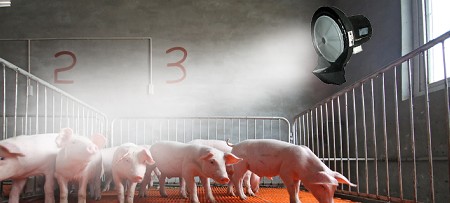 Abkhlung in Stallungen fr Geflgel Khe Schweine usw mit Rauch System